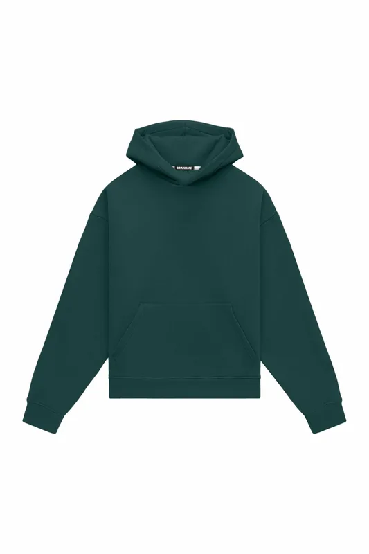 Hoodie oversize LIGHT BRUSHED VERDE — BrandMe