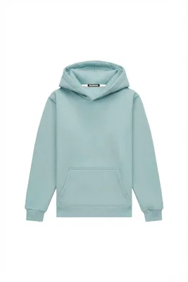 Hoodie regular LIGHT BRUSHED LAGUNA — BrandMe