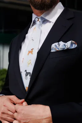 Poszetka błękitna Charty — LOANI