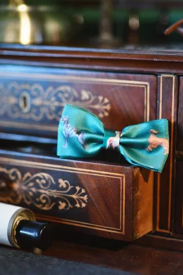 Muszka męska zielona Charty — LOANI