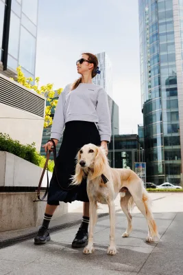 Szara bluza crop z grafiką Casa Canina — LOANI