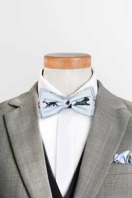 Muszka męska błękitna Toy Dogs — LOANI