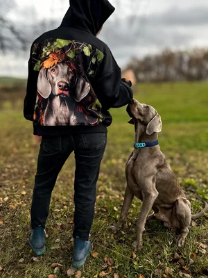 Bluza Psiarza na spacery outdoorowa softshell — No Pewnie