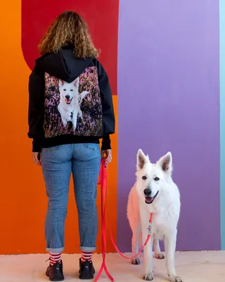 Bluza Psiarza na spacery outdoorowa softshell z Twoim zdjęciem — No Pewnie