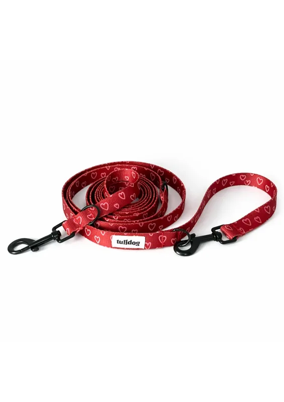 Smycz przepinana „LOVE AMOUR” — Tulidog